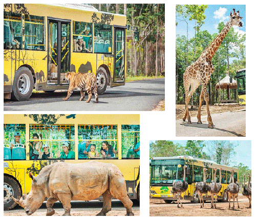 Vinpearl Safari