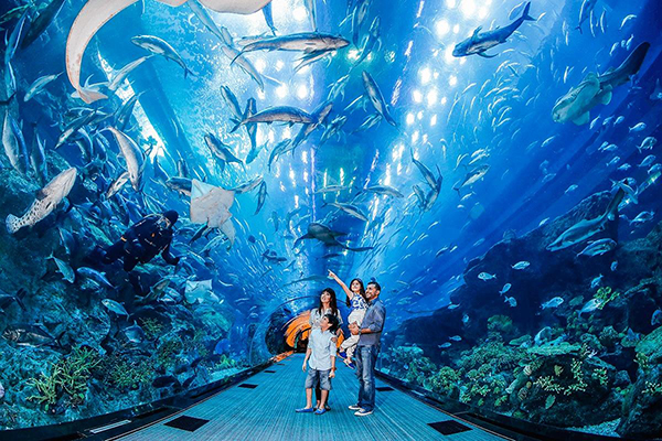 Thủy Cung ở Dubai